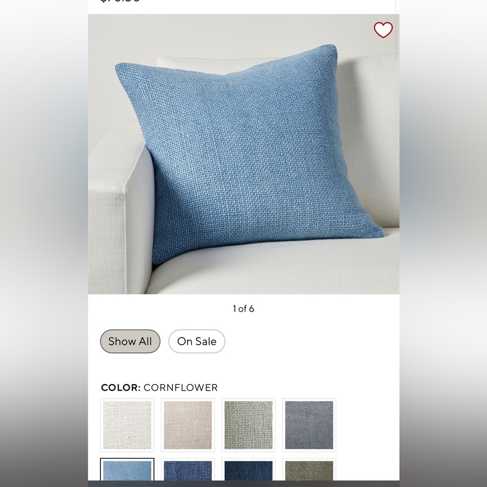 2 Pottery barn 20x20 pillow cover